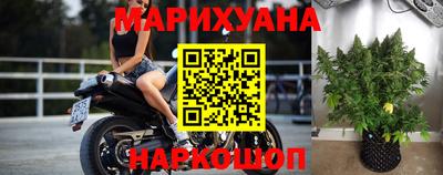 Альфа ПВП Лесосибирск