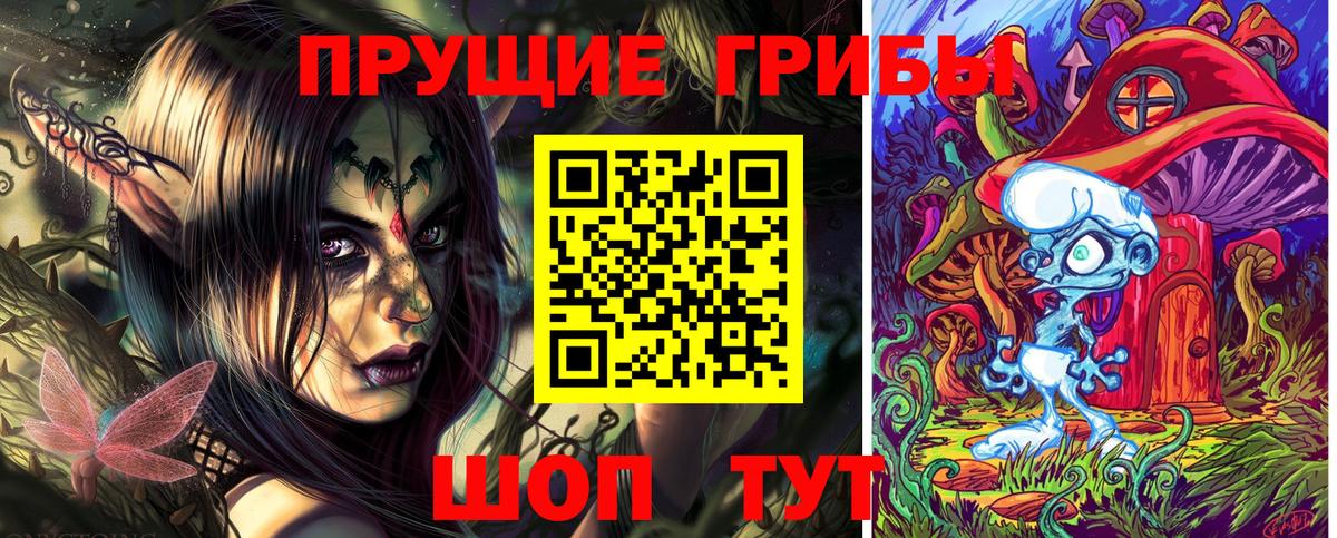 Улан-Удэ  Галлюциногенные грибы Psilocybine cubensis  Вход с VPN 